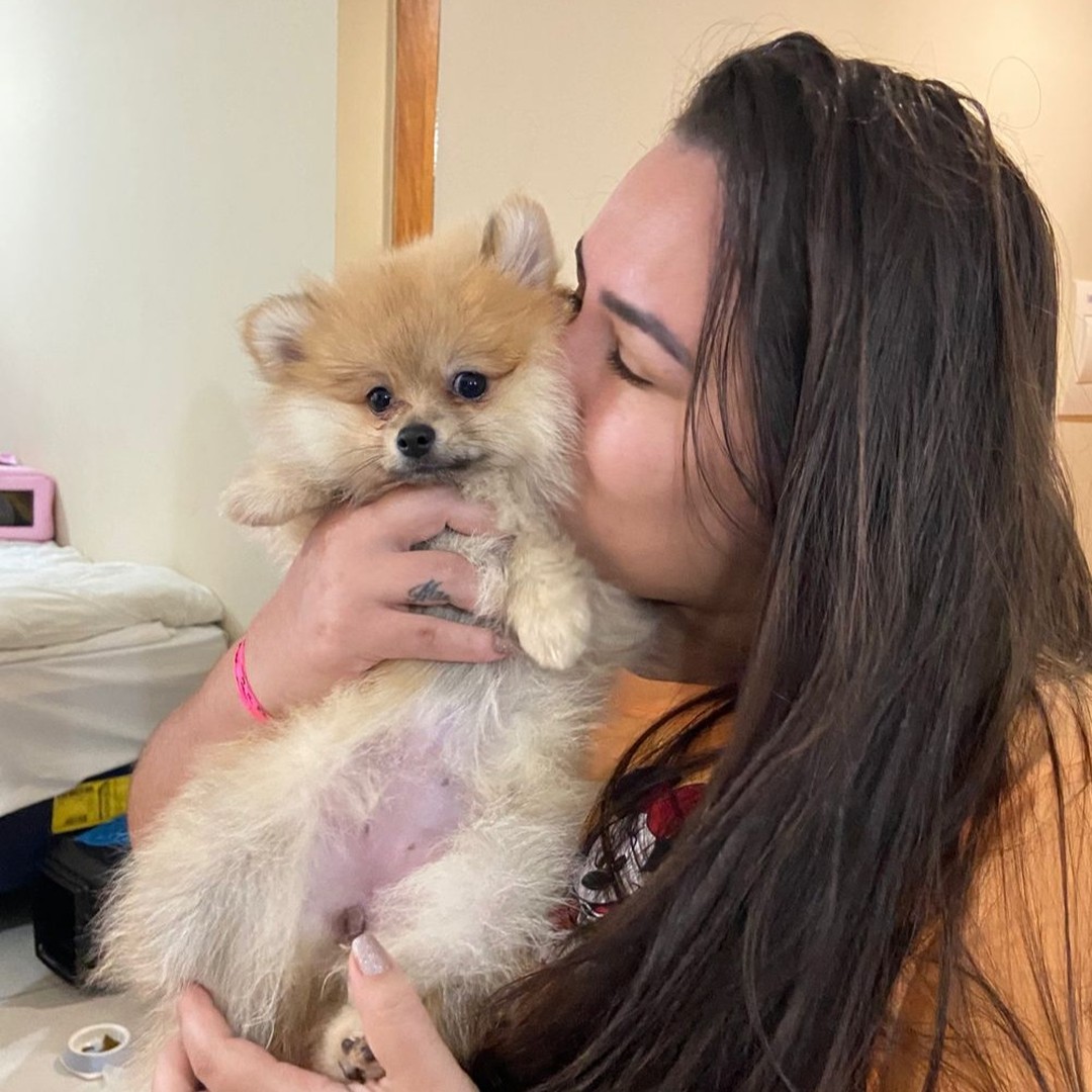 cliente segurando spitz alemão / lulu da pomerânia